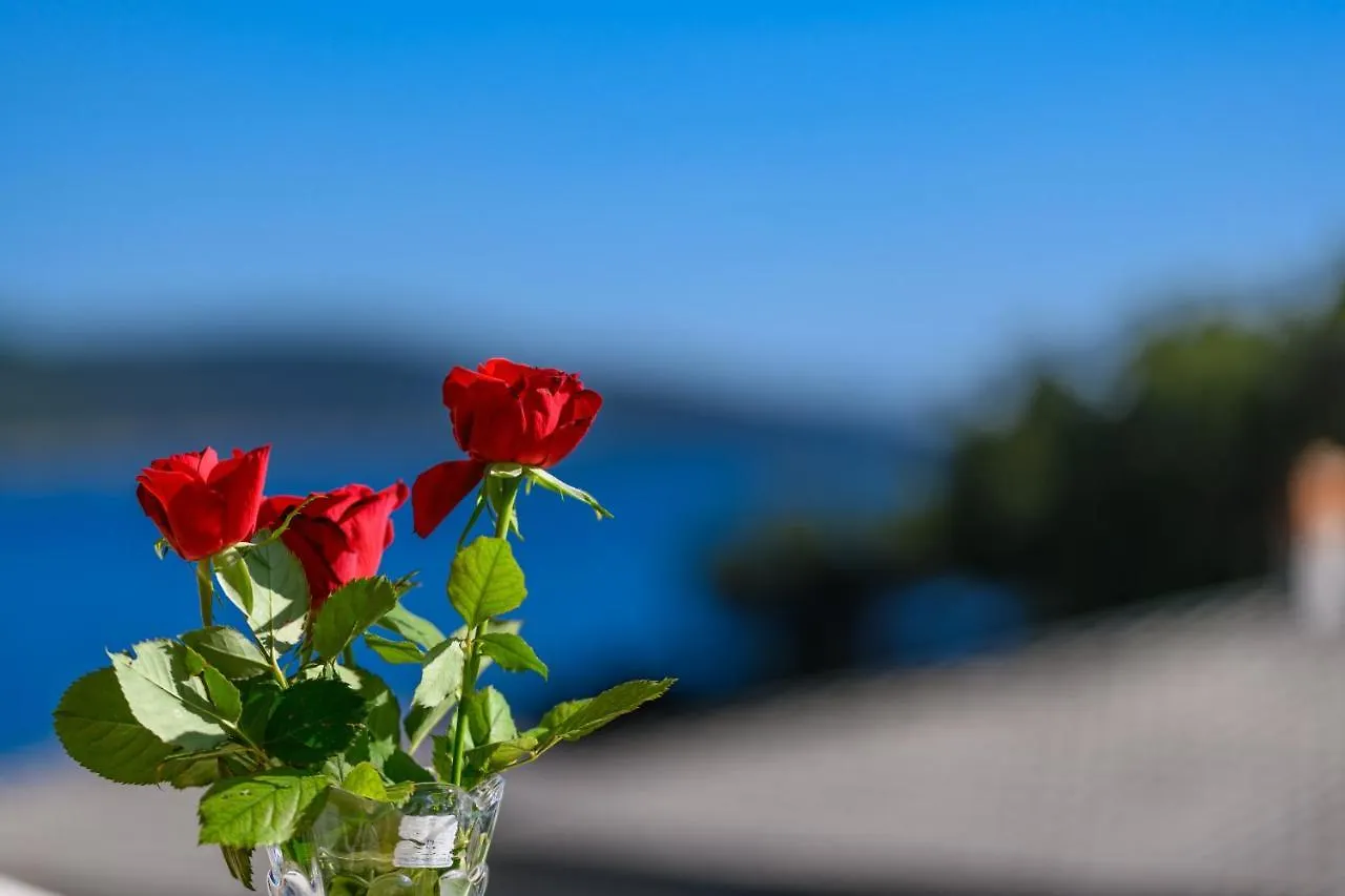 Apartment Apartman Marina Martinscica  Croatia
